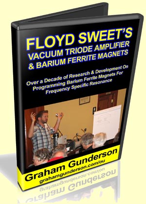 Floyd Sweet's Vacuum Triode Amplifier